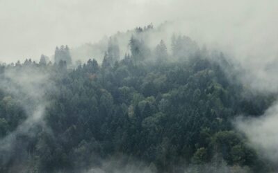L’autunno e le sue tante domande